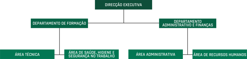 Quem Somos organigrama
